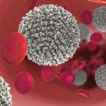 leucemia-k4fH-RicHengomLtX1QH6kkPiHxM-656×492@Corriere-Web-Sezioni
